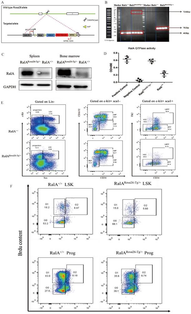 Int J Biol Sci Image