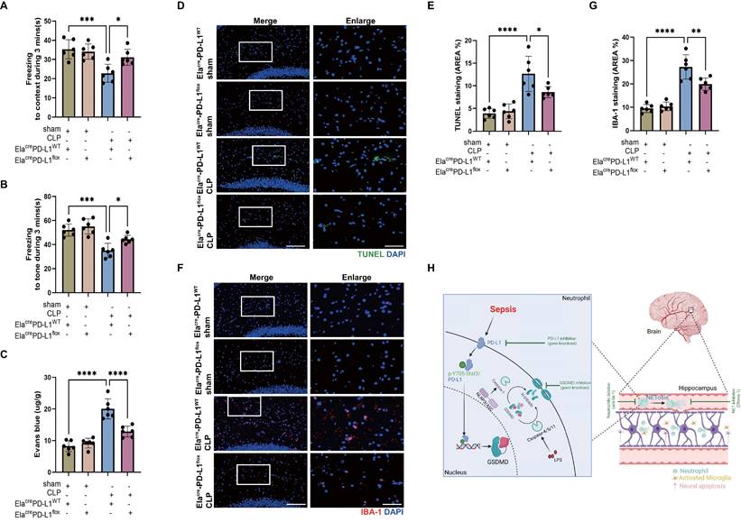 Int J Biol Sci Image