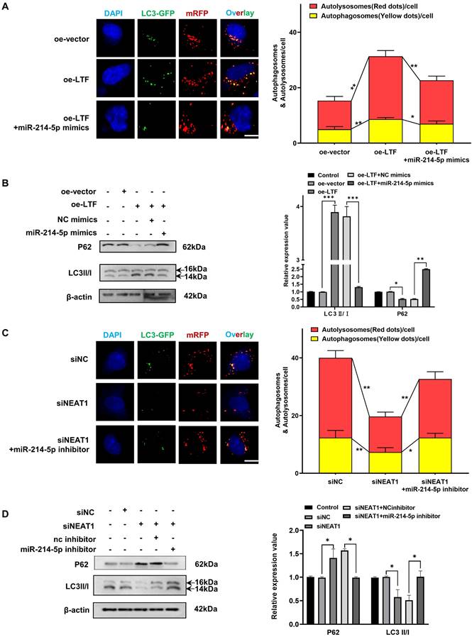 Int J Biol Sci Image