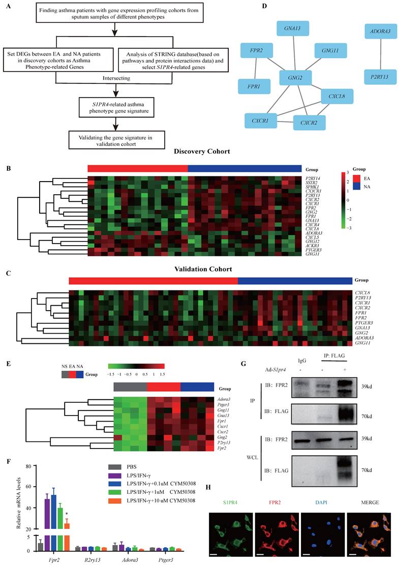 Int J Biol Sci Image