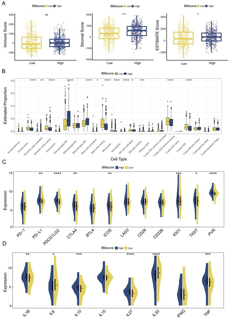 Int J Biol Sci Image