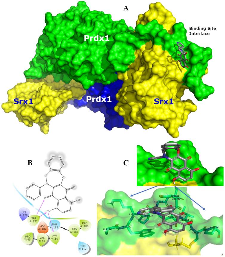 Int J Biol Sci Image