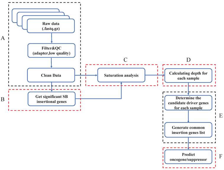 Int J Biol Sci Image
