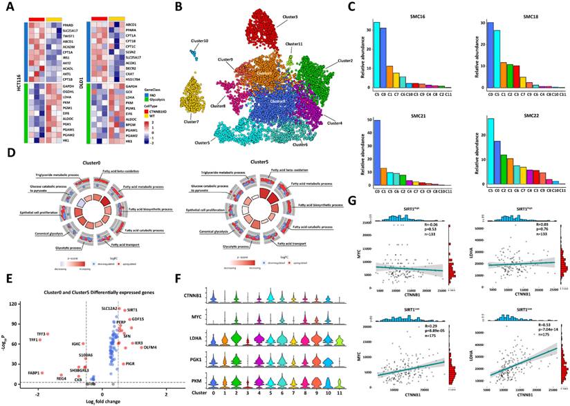 Int J Biol Sci Image