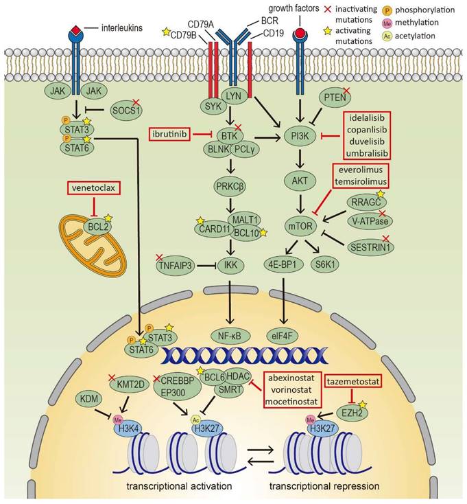 Int J Biol Sci Image