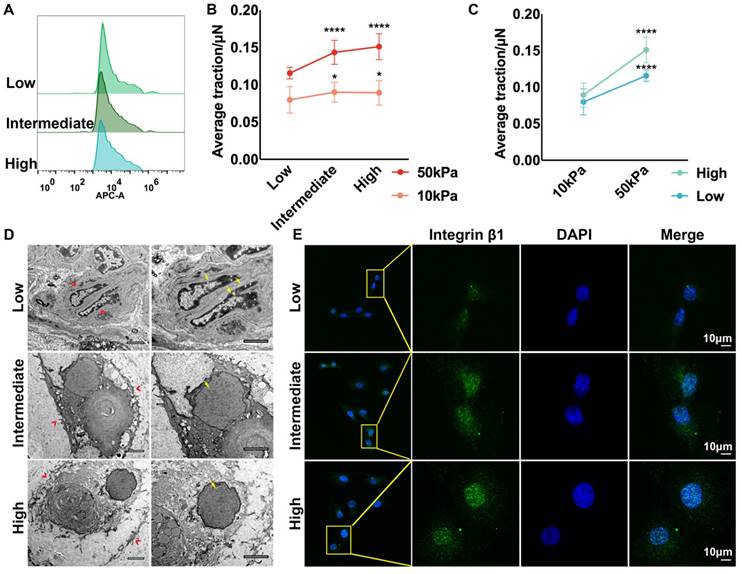 Int J Biol Sci Image