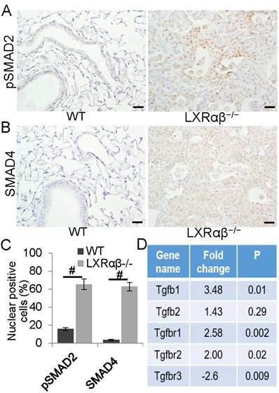 Int J Biol Sci Image