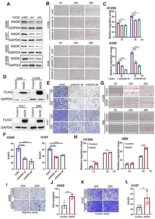 Int J Biol Sci Image