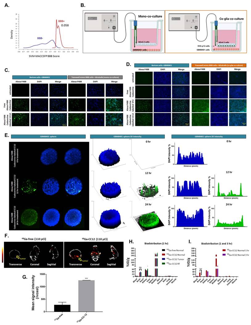 A Novel Isotope-labeled Small Molecule Probe CC12 for Anti-glioma via ...