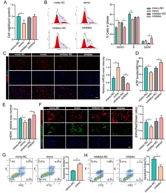 Mir 484 contributes to diminished ovarian reserve by regulating