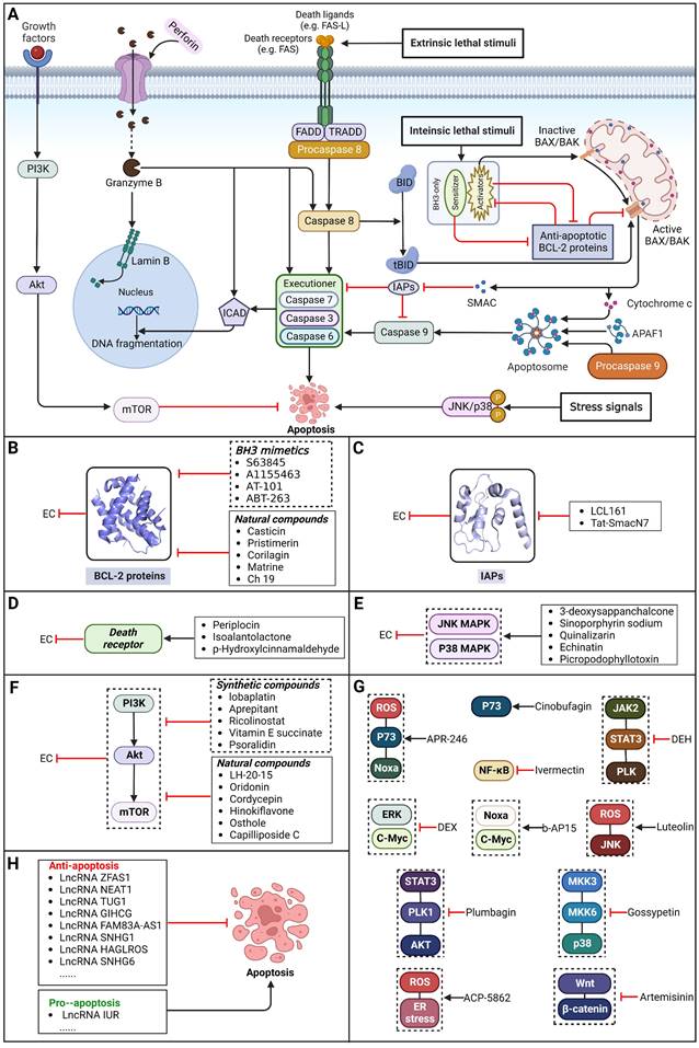 Int J Biol Sci Image