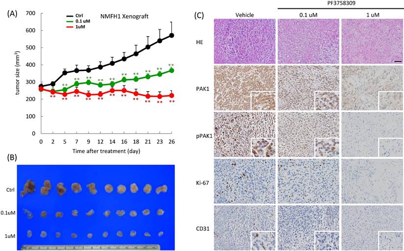 Int J Biol Sci Image
