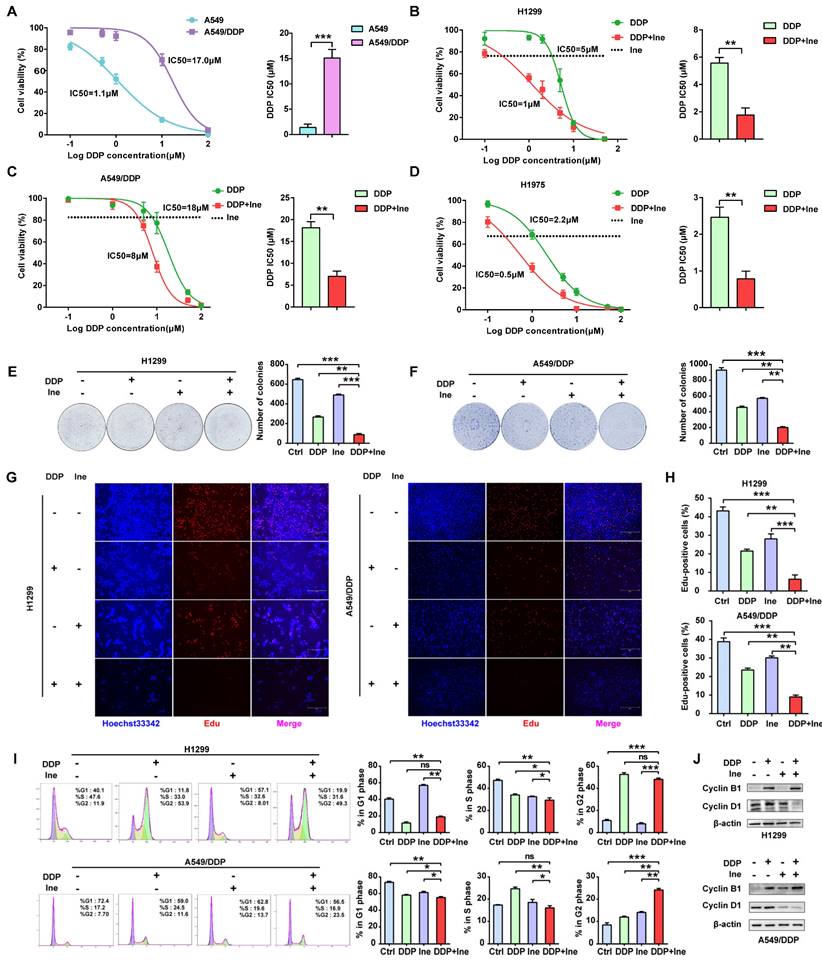 Int J Biol Sci Image