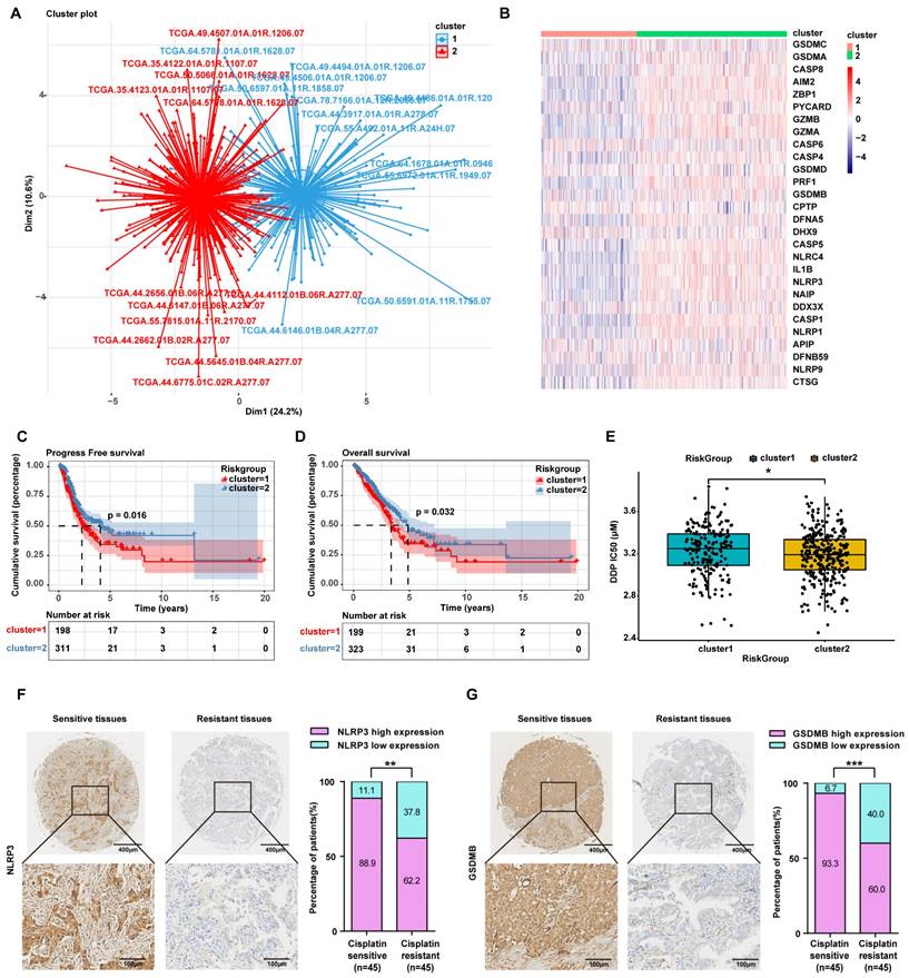 Int J Biol Sci Image