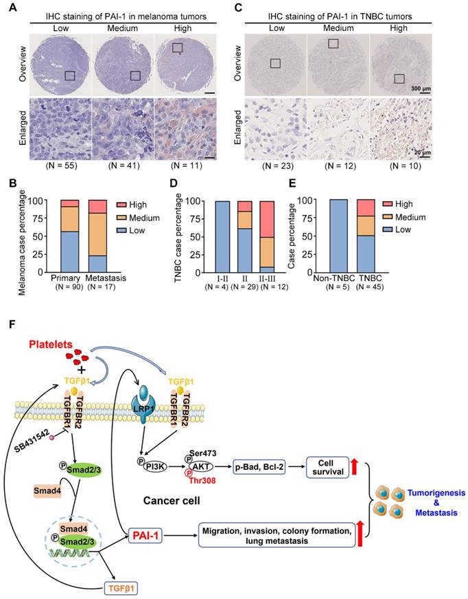 Int J Biol Sci Image