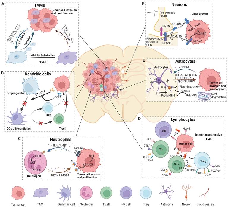 Int J Biol Sci Image