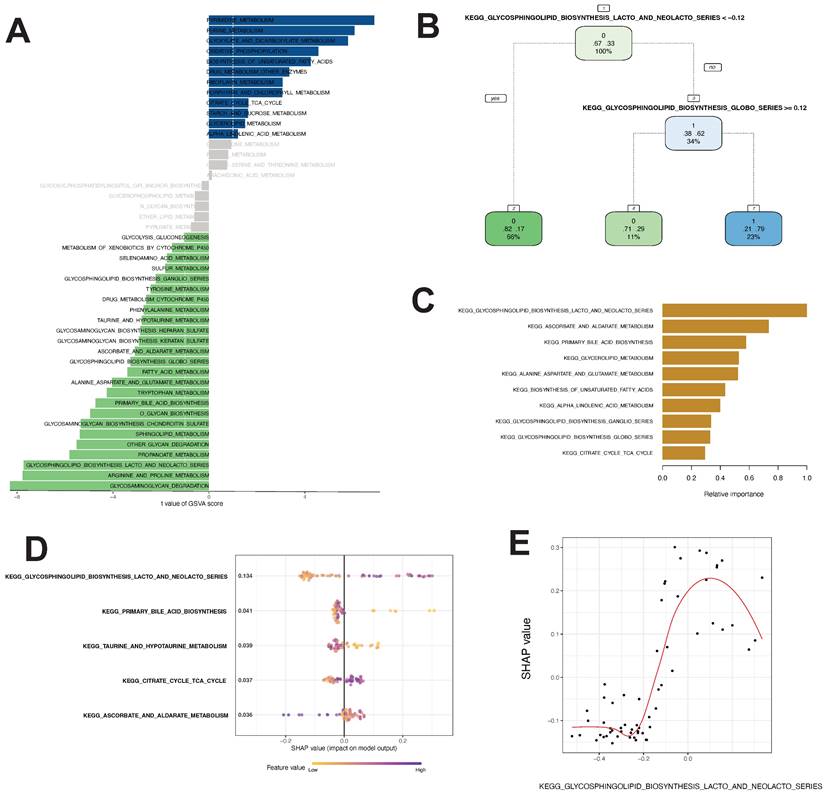 Int J Biol Sci Image