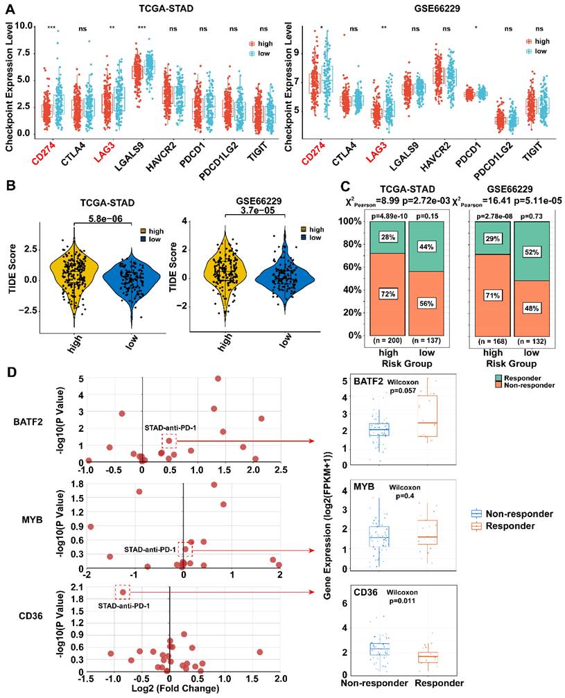 Int J Biol Sci Image