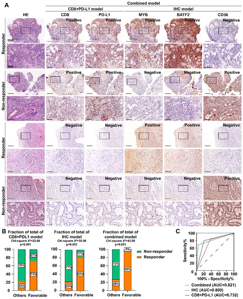 Int J Biol Sci Image