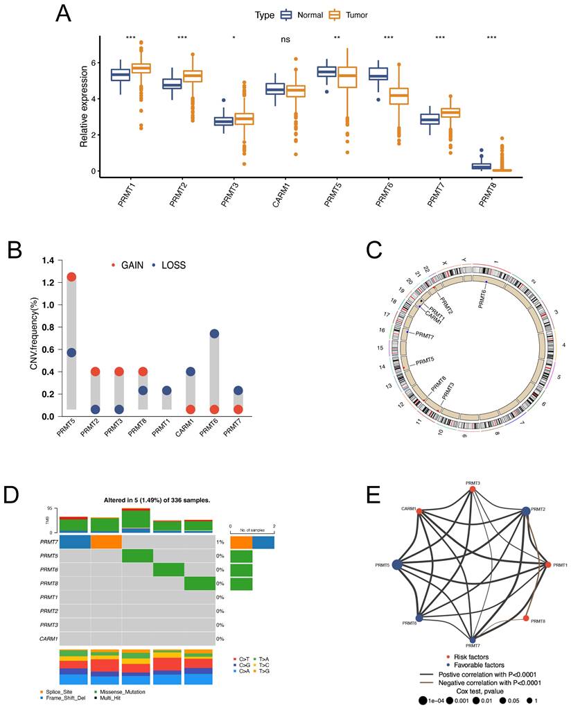 Int J Biol Sci Image