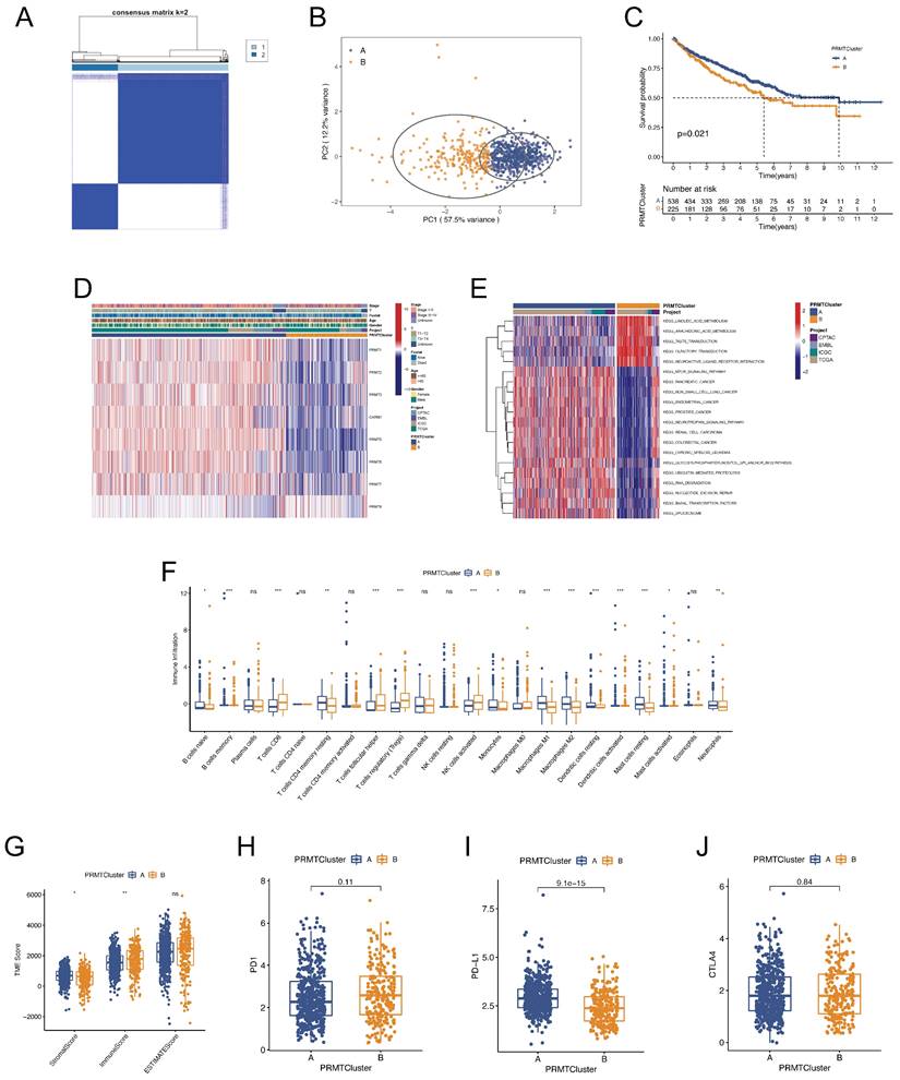 Int J Biol Sci Image