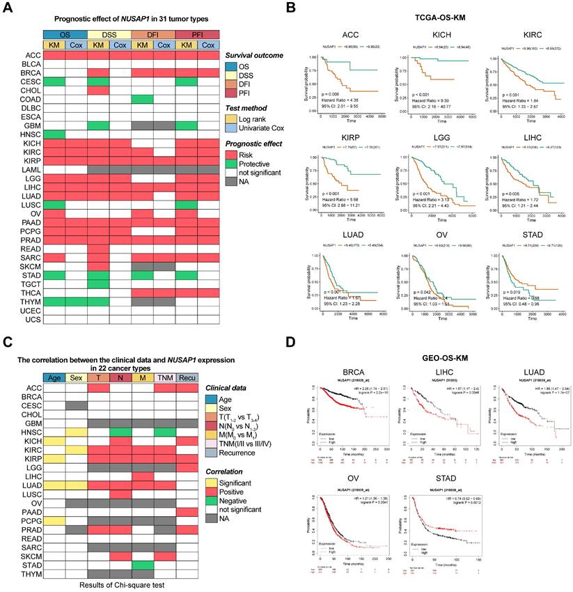 Int J Biol Sci Image