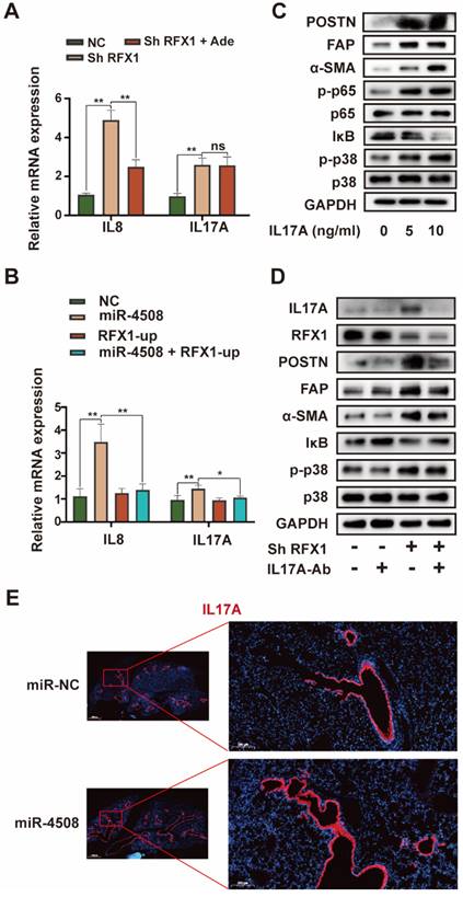Int J Biol Sci Image