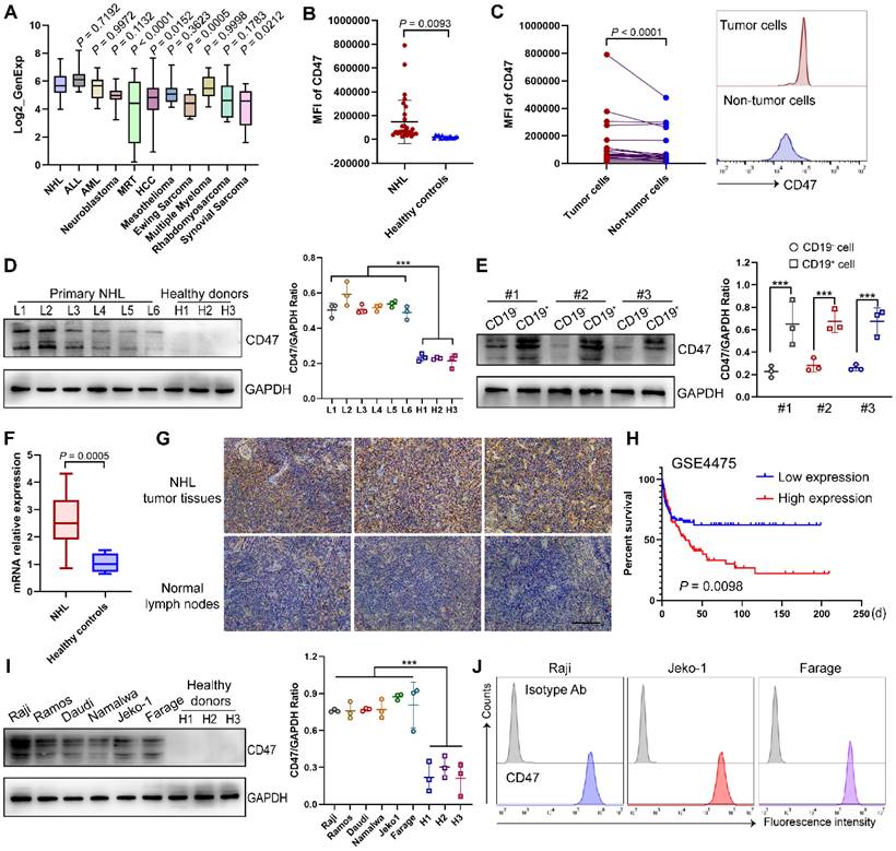 Int J Biol Sci Image
