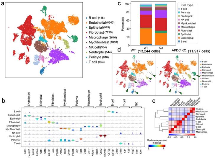 Int J Biol Sci Image