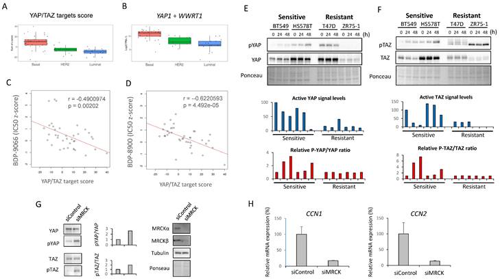 Int J Biol Sci Image