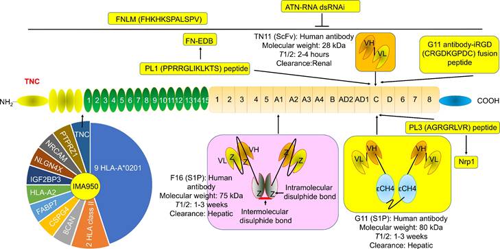 Int J Biol Sci Image