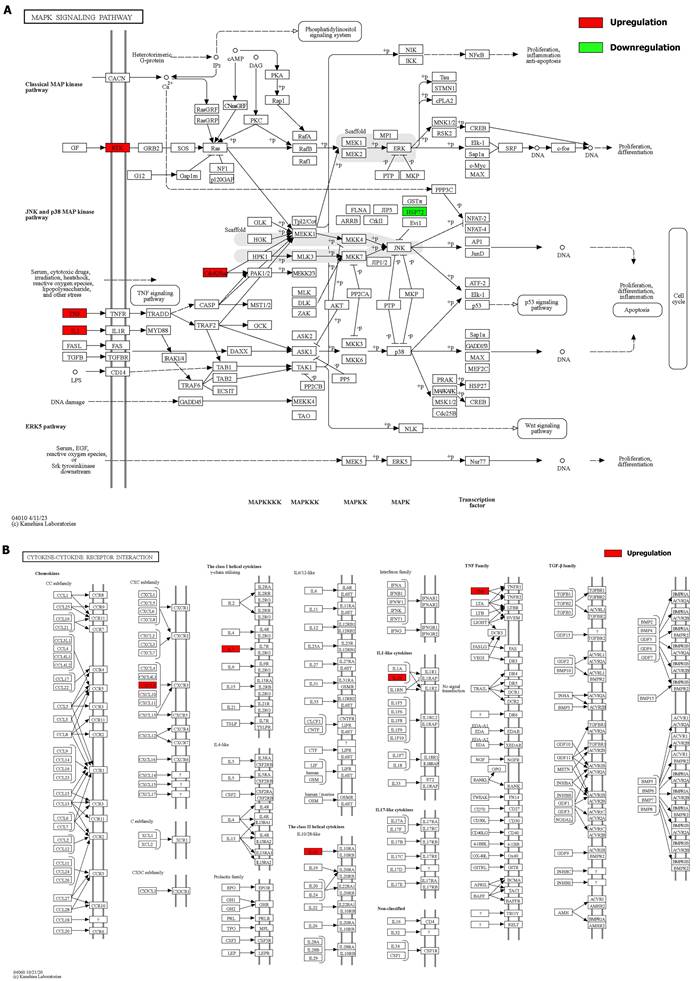 Int J Biol Sci Image