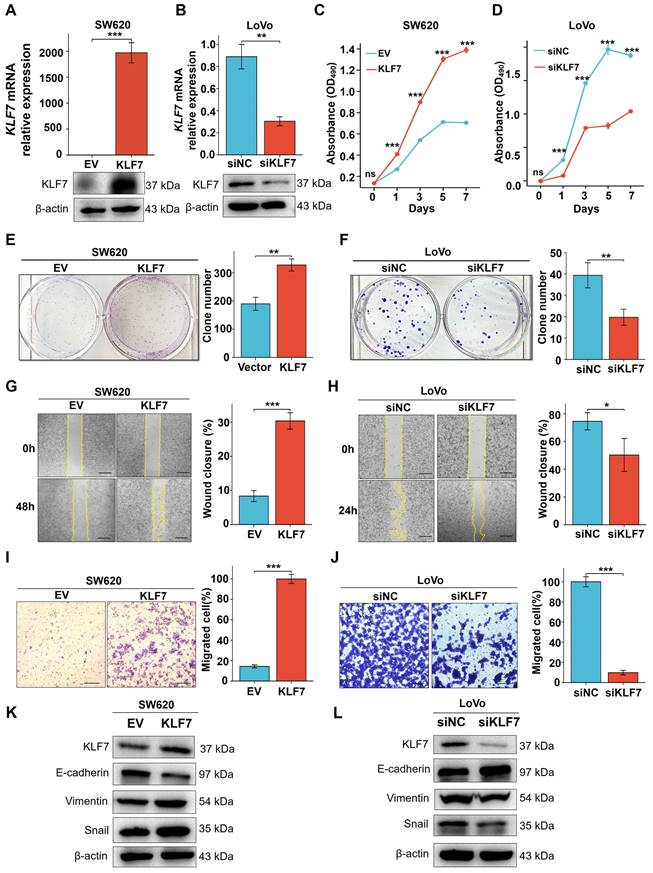 Int J Biol Sci Image