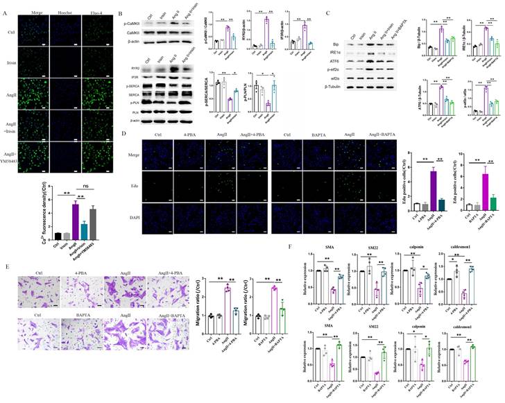 Int J Biol Sci Image