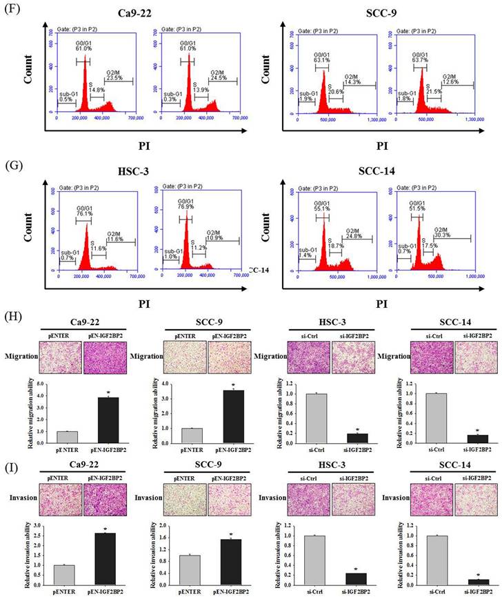 Int J Biol Sci Image
