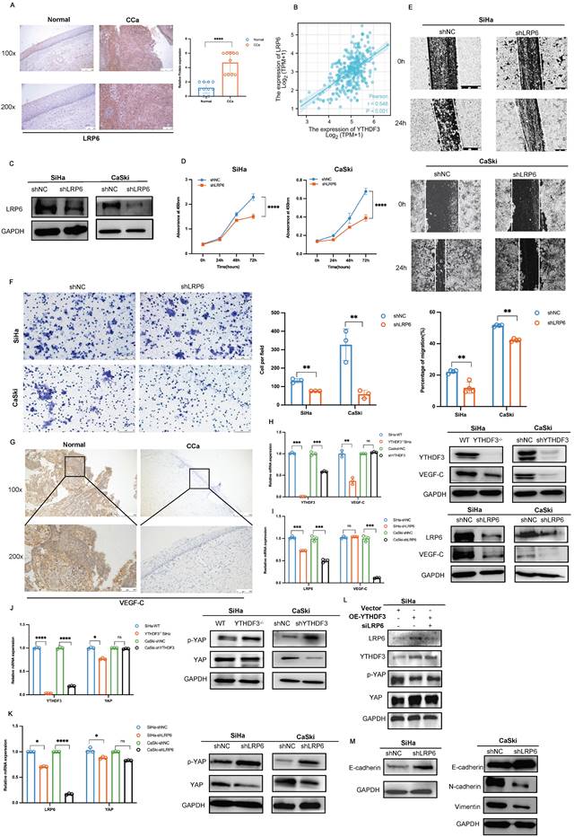 Int J Biol Sci Image