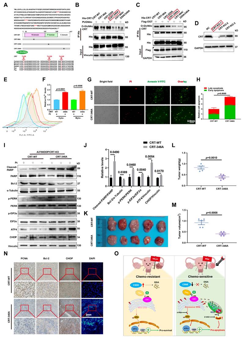 Int J Biol Sci Image