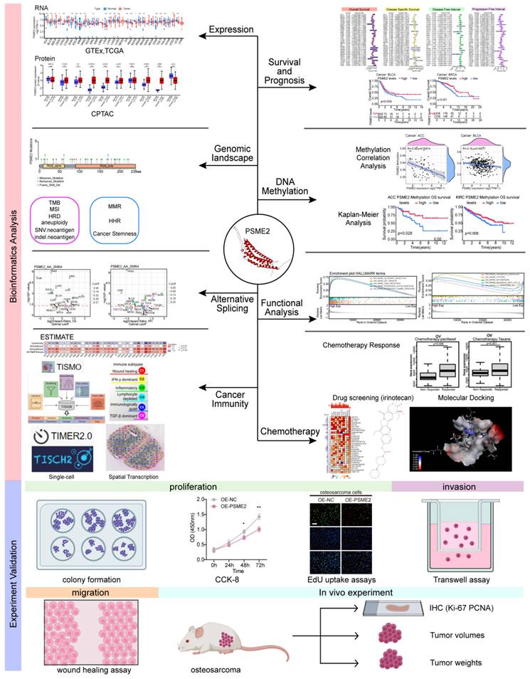 Int J Biol Sci Image