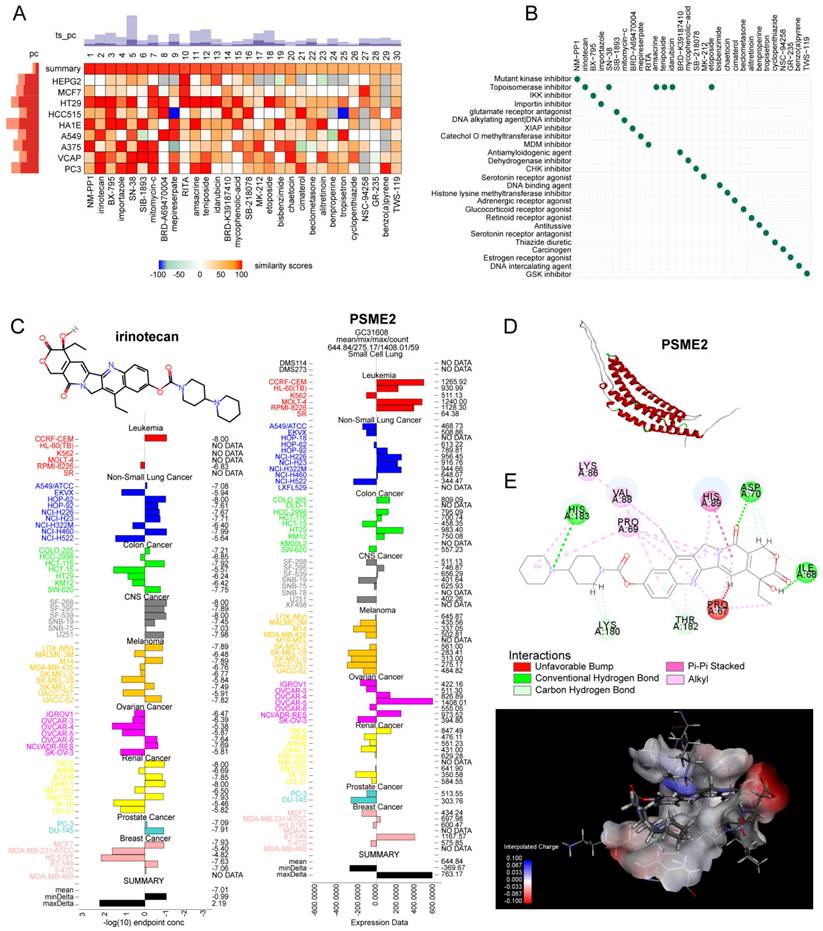Int J Biol Sci Image