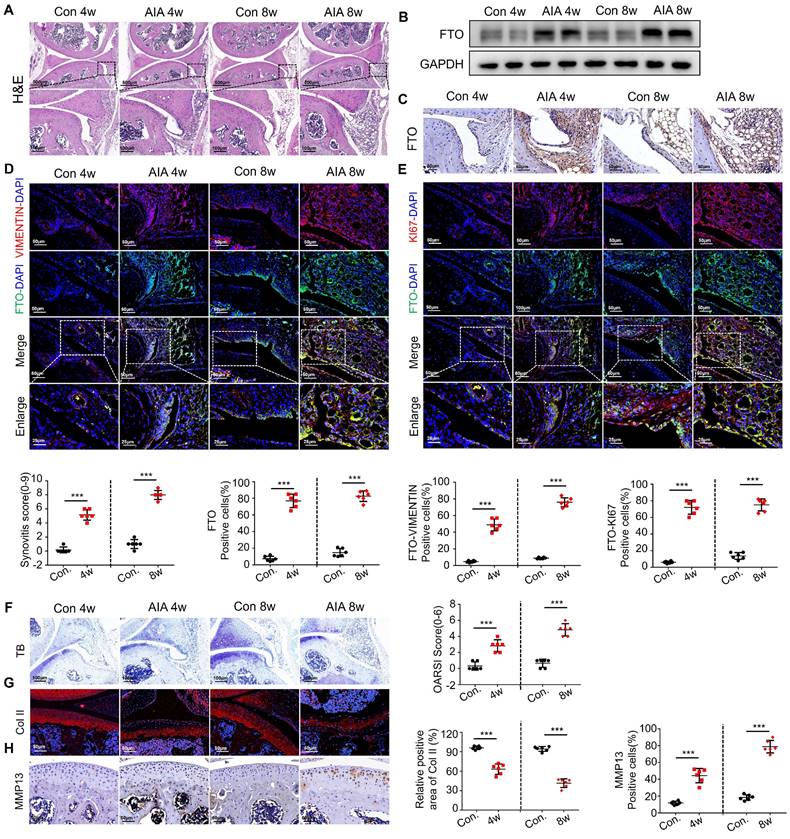 Int J Biol Sci Image