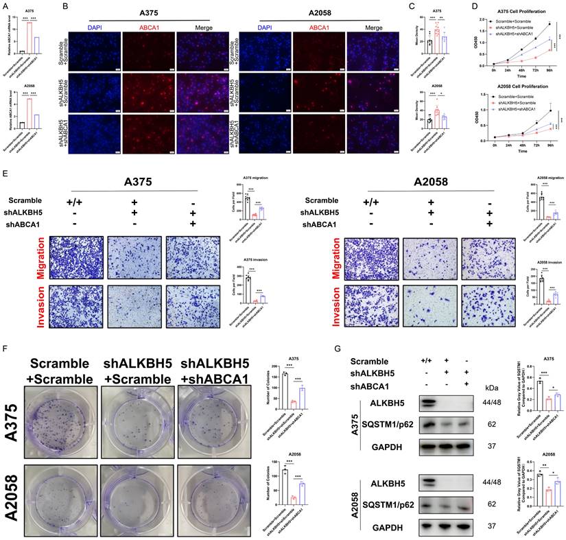 Int J Biol Sci Image