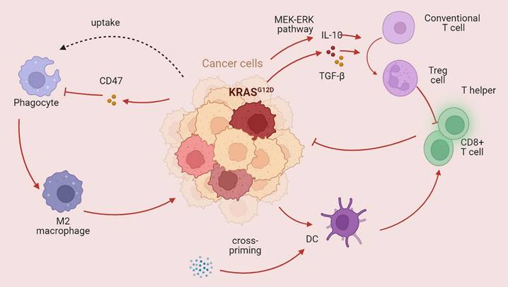Int J Biol Sci Image