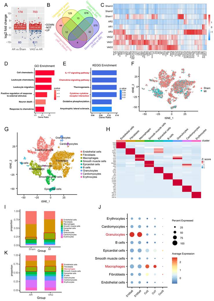 Int J Biol Sci Image