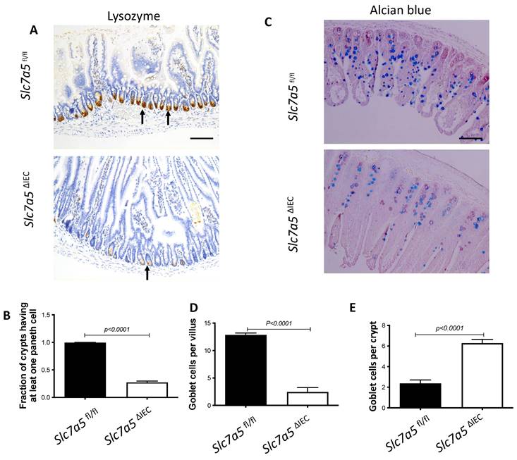 Int J Biol Sci Image