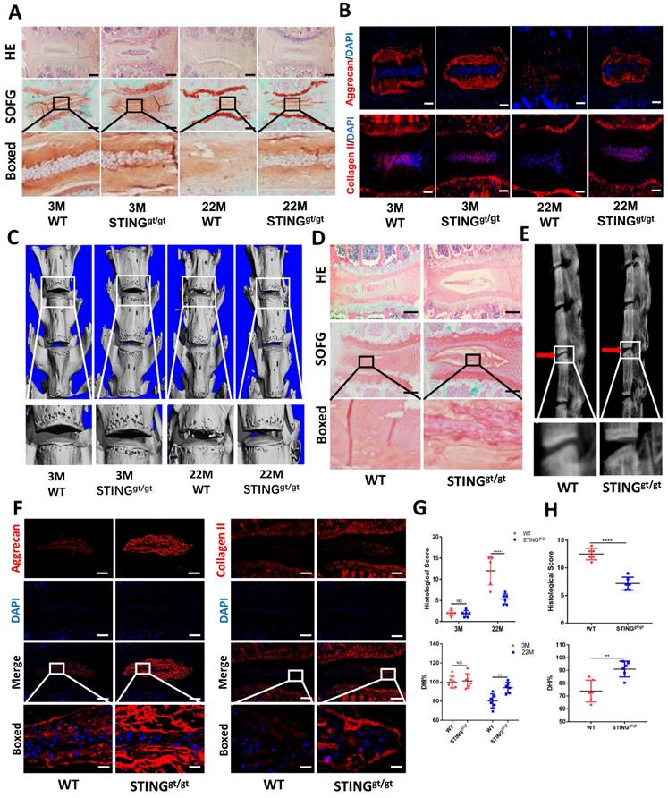 Int J Biol Sci Image