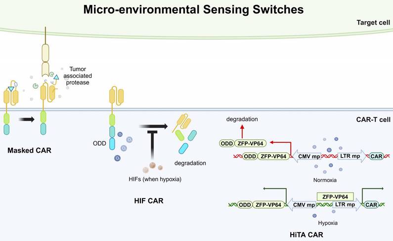 Int J Biol Sci Image