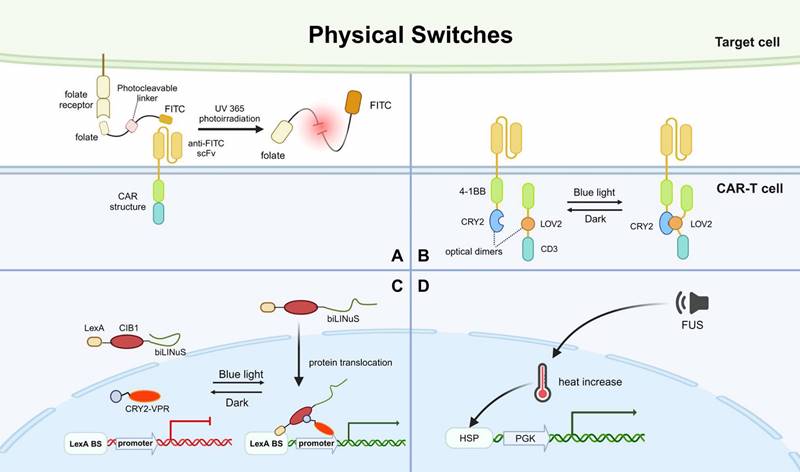 Int J Biol Sci Image