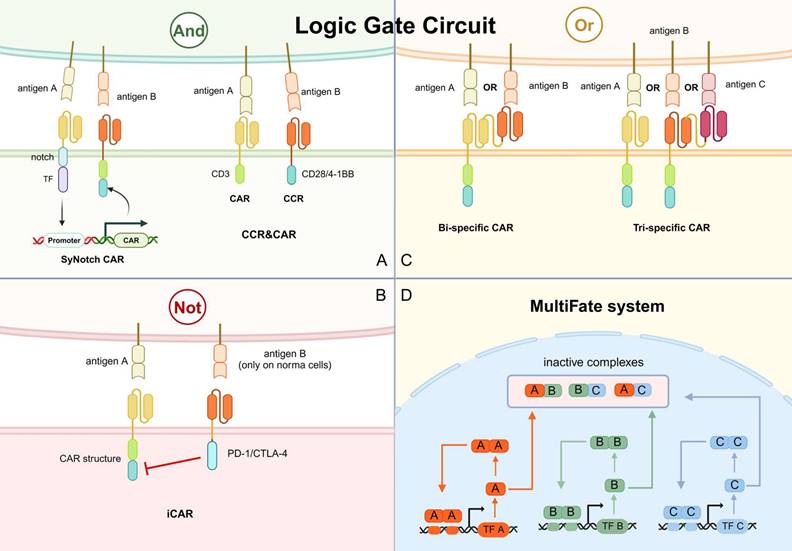 Int J Biol Sci Image