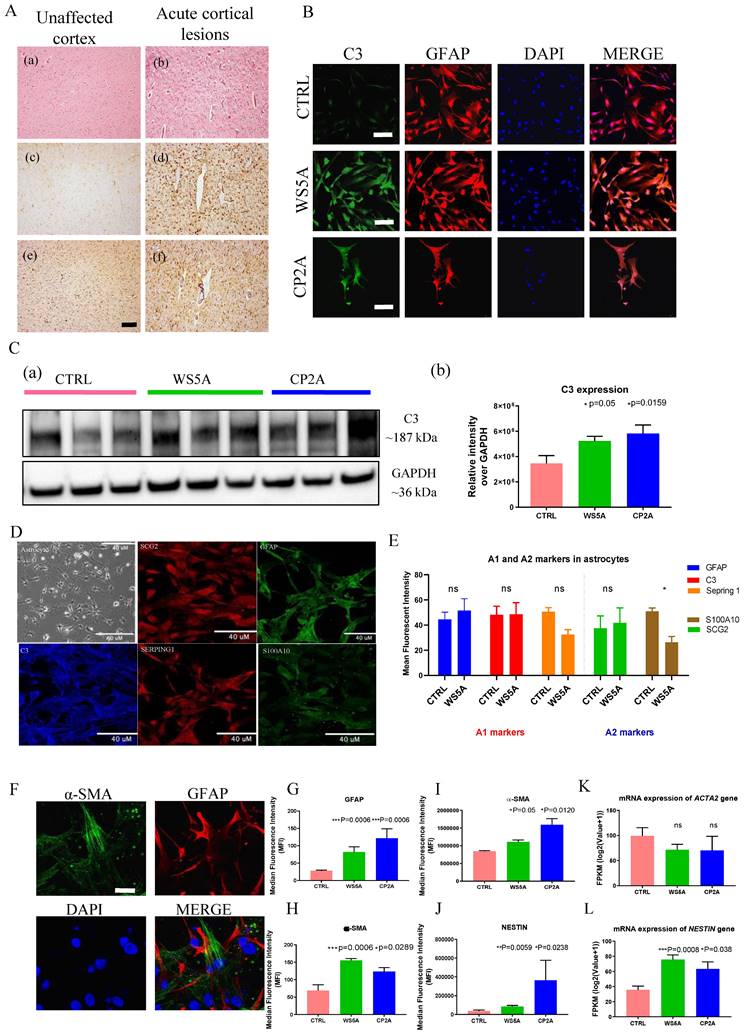 Int J Biol Sci Image