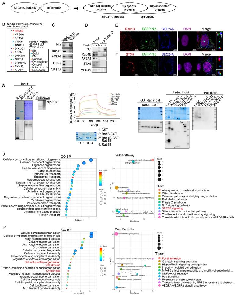 Int J Biol Sci Image